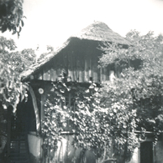 eika image